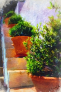 Granada - Sketches in Colour - Pot Plants 1a_MJONESPHI